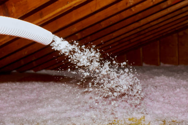 Best Types of Insulation in Bellevue, PA
