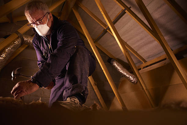 Best Types of Insulation in Bellevue, PA
